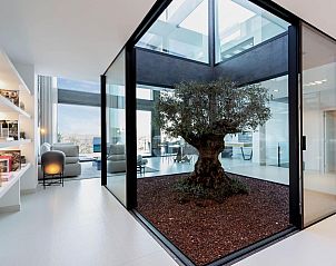 Unterkunft 1601710 - Ferienhaus Mallorca - Vakantiehuis Montblau