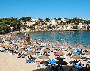 Unterkunft 16050204 - Appartement Mallorca - Appartement Penthouse Las Palmeras