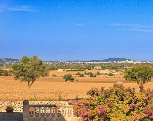 Guest house 1608504 - Holiday property Mallorca - Vakantiehuis Albadallet