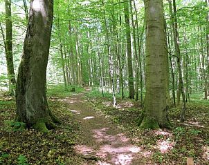 Verblijf 16303202 - Vakantie appartement Thüringen - Hotel Bad Langensalza Eichenhof