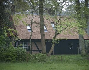 Unterkunft 171603 • Ferienhaus Midden Drenthe • Huisje in Rolde 
