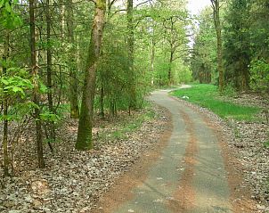 Guest house 171802 - Holiday property Midden Drenthe - DG1385