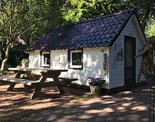 Guest house 171914 • Holiday property Midden Drenthe • Huisje in Gasselte 