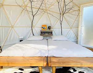 Guest house 172005 - Holiday property Midden Drenthe - Vakantiehuisje in Papenvoort