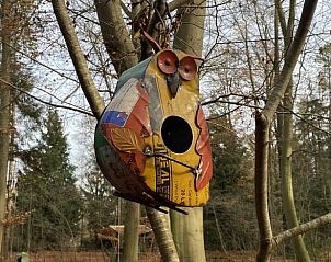 Guest house 172034 - Holiday property Midden Drenthe - Vakantiehuis in Papenvoort