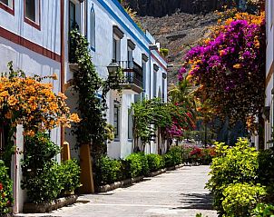 Guest house 17314414 - Apartment Canary Islands - Apartamentos Las Palmeras