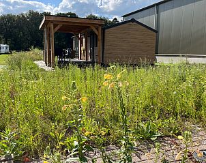 Guest house 173308 - Holiday property Midden Drenthe - Vakantiehuisje in Eeserveen