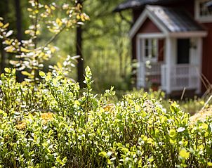 Guest house 17335301 - Holiday property Gtaland - Vakantiehuis Mbcken