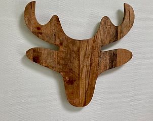 Guest house 173905 - Holiday property Midden Drenthe - Huisje in Nieuw Balinge