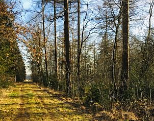 Guest house 173905 - Holiday property Midden Drenthe - Huisje in Nieuw Balinge