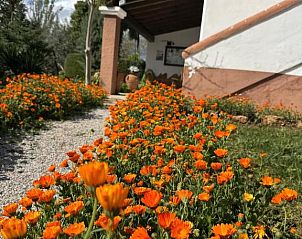 Verblijf 17414106 - Vakantiewoning Andalusie - Complejo Rural Ibipozo