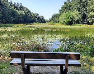 Guest house 174402 - Holiday property Midden Drenthe - Vakantiehuisje in Wezup