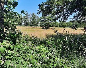 Guest house 174403 - Holiday property Midden Drenthe - Vakantiehuisje in Wezup