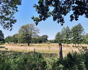 Guest house 174403 - Holiday property Midden Drenthe - Vakantiehuisje in Wezup