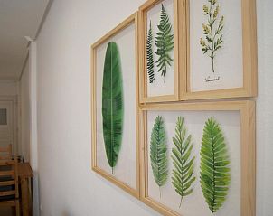 Verblijf 17514901 - Appartement Costa Blanca - Apartment Calas de Campoamor en Aguamarina