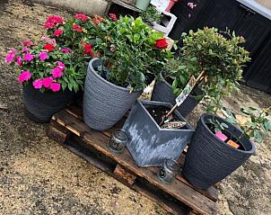 Verblijf 17702602 - Appartement Noordrijn-Westfalen - RL Guesthouses