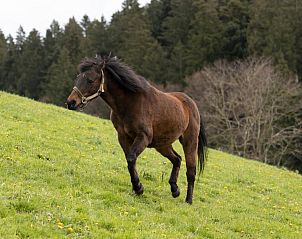 Unterkunft 18010201 - Appartement Berner Oberland - Appartement Muessache
