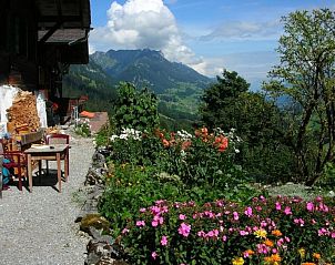 Unterkunft 1806301 - Appartement Berner Oberland - Appartement Auf der Mauer
