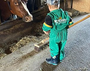 Verblijf 18106502 - Appartement Centraal Zwitserland - Häuschen