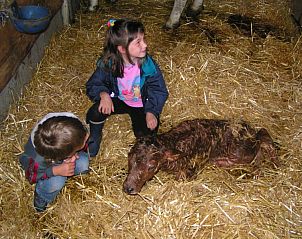 Verblijf 18106502 - Appartement Centraal Zwitserland - Häuschen