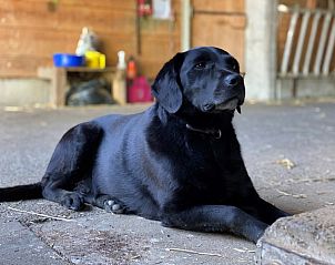 Verblijf 18106502 - Appartement Centraal Zwitserland - Häuschen