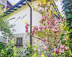 Verblijf 1830702 - Vakantiewoning Ticino / Tessin - Vakantiehuis La Gioconda