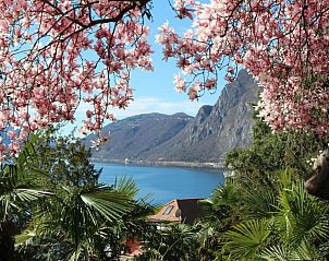 Guest house 1831922 - Apartment Ticino / Tessin - Appartement Garten-Wohnung
