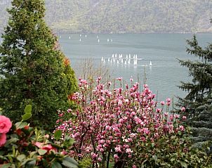 Guest house 1831922 - Apartment Ticino / Tessin - Appartement Garten-Wohnung