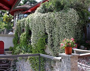 Guest house 1831925 - Apartment Ticino / Tessin - Appartement Agave