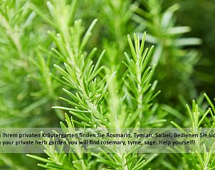 Unterkunft 1832401 - Ferienhaus Tessin - Vakantiehuis Villa Girandola