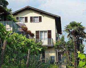 Guest house 1835501 • Apartment Ticino / Tessin • Appartement al Ronchetto 