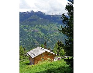 Guest house 1842304 • Chalet Wallis / Valais • Chalet Perle des Collons 