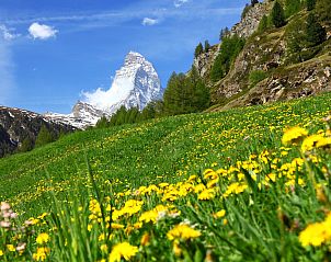 Unterkunft 1843668 - Appartement Wallis - Appartement Patricia self-check-in Apartments, (Zermatt),