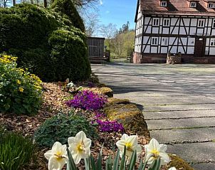 Verblijf 18502401 - Vakantiewoning Hessen - Pension Untere Mühle