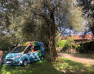 Guest house 18521605 • Holiday property Northern Portugal • Vakantiehuisje in Celorico de Basto 