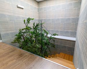 Verblijf 18528901 - Vakantiewoning Noord Portugal - Vakantiehuis Douro Escape