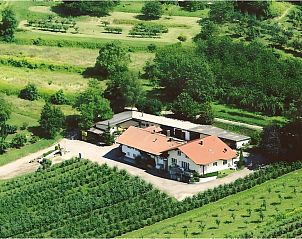 Verblijf 19003104 • Appartement Zwarte Woud • Weingut Ringwald 