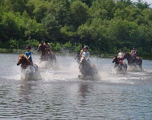 Paardrijden in de natuur bij Finse bungalow, Meppen, Drenthe, met avontuurlijke wateroversteek.