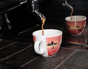 Verblijf 19403102 - Vakantie appartement Zwarte Woud - Parkhotel Krone