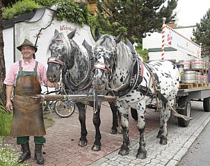 Unterkunft 19811301 - Appartement Salzburgerland - Hotel Gasthof Kamml