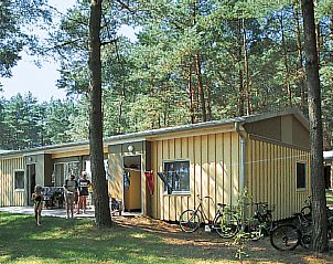 Guest house 19939603 • Holiday property Mecklenburg-Vorpommern • Vakantiehuis Silz am Fleesensee 