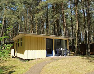 Guest house 19939603 - Holiday property Mecklenburg-Vorpommern - Vakantiehuis Silz am Fleesensee