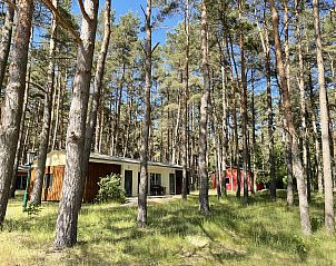 Guest house 19939603 - Holiday property Mecklenburg-Vorpommern - Vakantiehuis Silz am Fleesensee