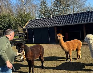 Unterkunft 200106 - Ferienhaus Zuidwest Drenthe - Vakantiehuisje in Fluitenberg