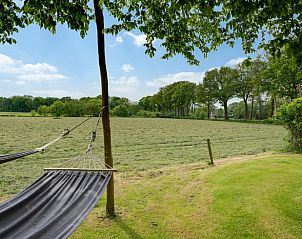 Hammock overlooking the countryside at Cottage in Fluitenberg, Drenthe.