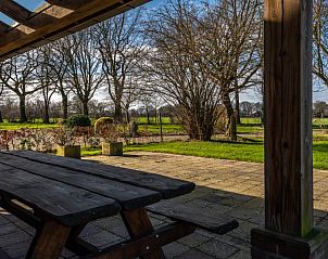 Zonnig terras bij Boerderij het Reestdal, vakantiehuis in Zuidwolde, met uitzicht op natuur.