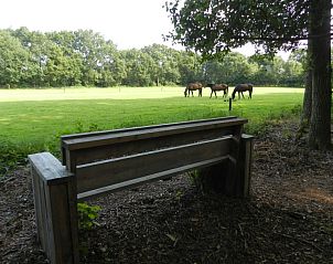 Unterkunft 200706 - Ferienhaus Zuidwest Drenthe - huisje in ruinen