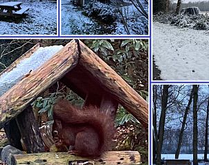 Unterkunft 200706 - Ferienhaus Zuidwest Drenthe - huisje in ruinen