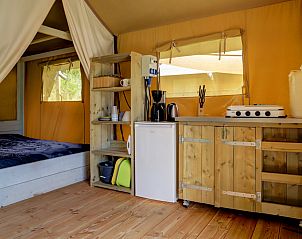 Guest house 2009002 - Tent house Saarland - Safaritent