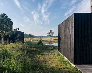Prachtig uitzicht op de natuur vanuit Huisje in Wapserveen, Zuidwest Drenthe.